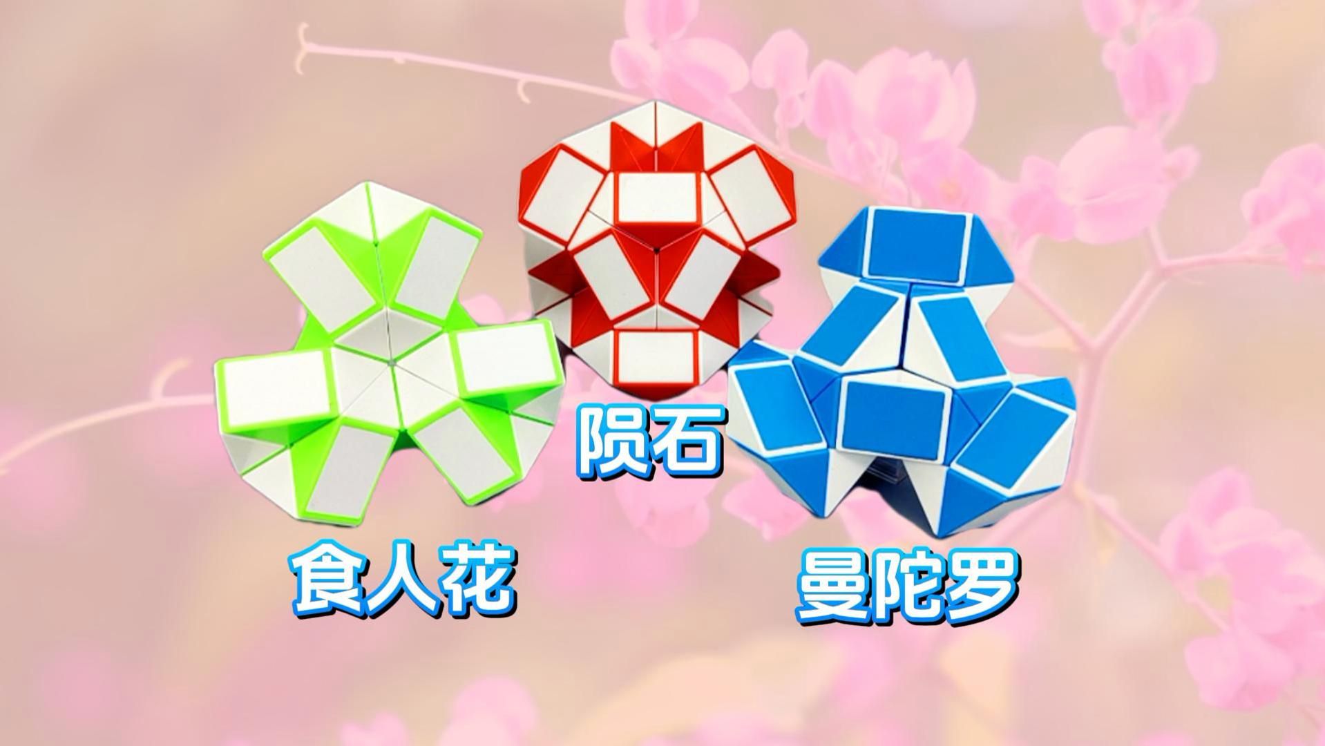 24段魔尺教程变曼陀罗食人花陨石多种玩法