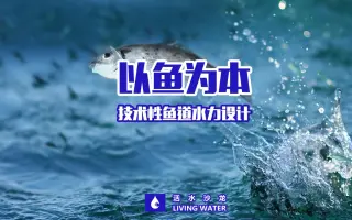 鱼类设计投稿网站_鱼设计插画