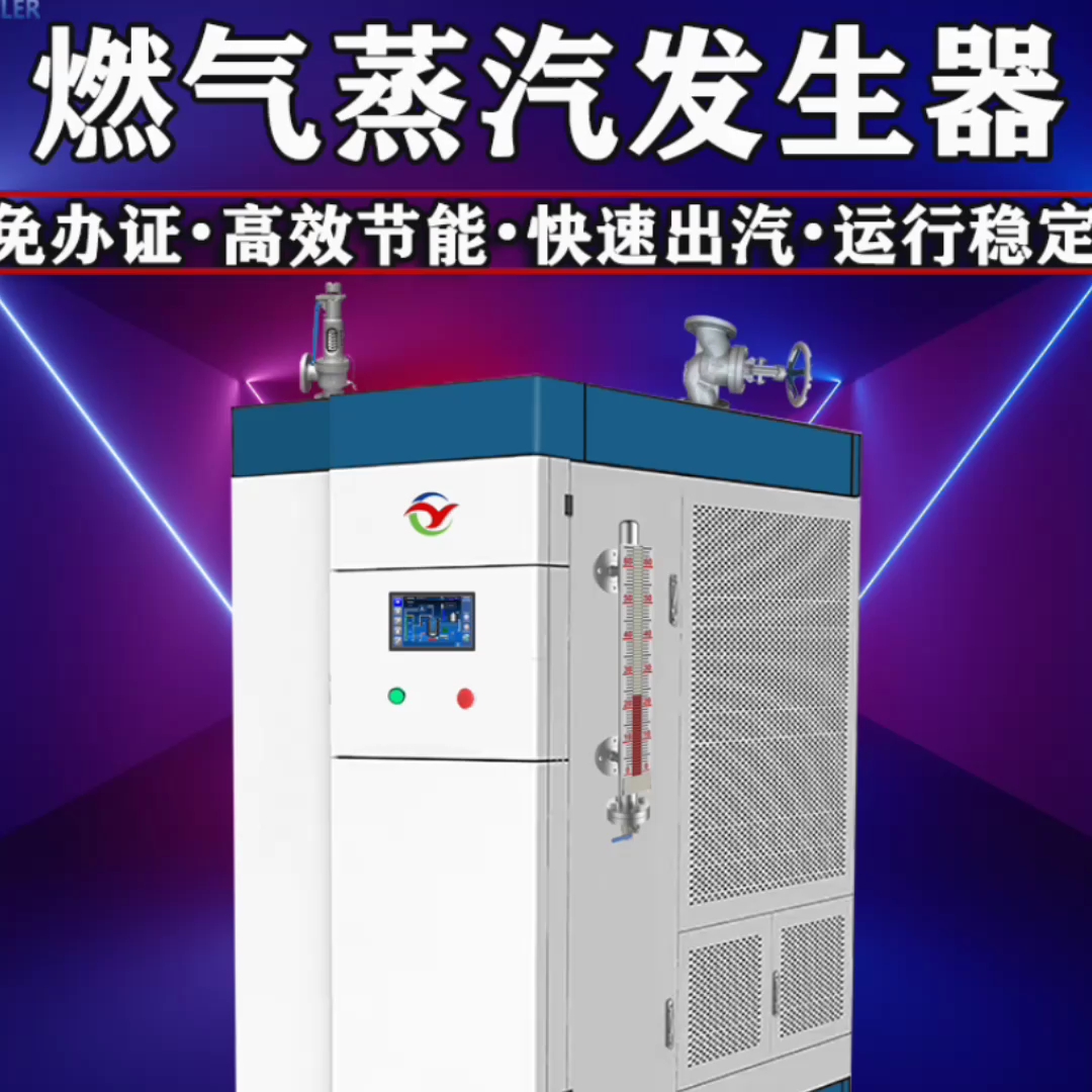 河北国扬全预混免检低氮冷凝蒸汽发生器
