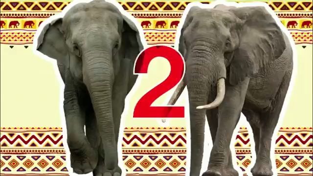 [图]LV5-4-11_things_you_never_knew_about_elephants