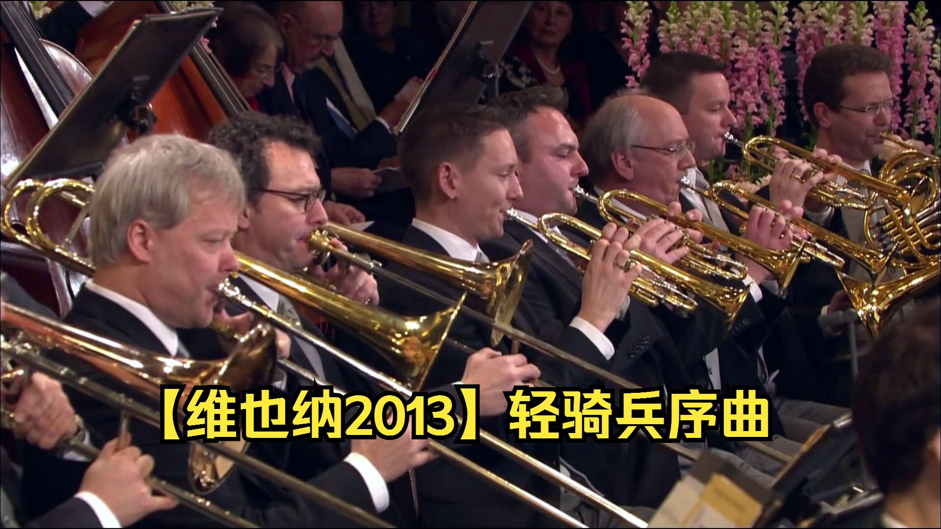 [图]【维也纳2013】轻骑兵序曲