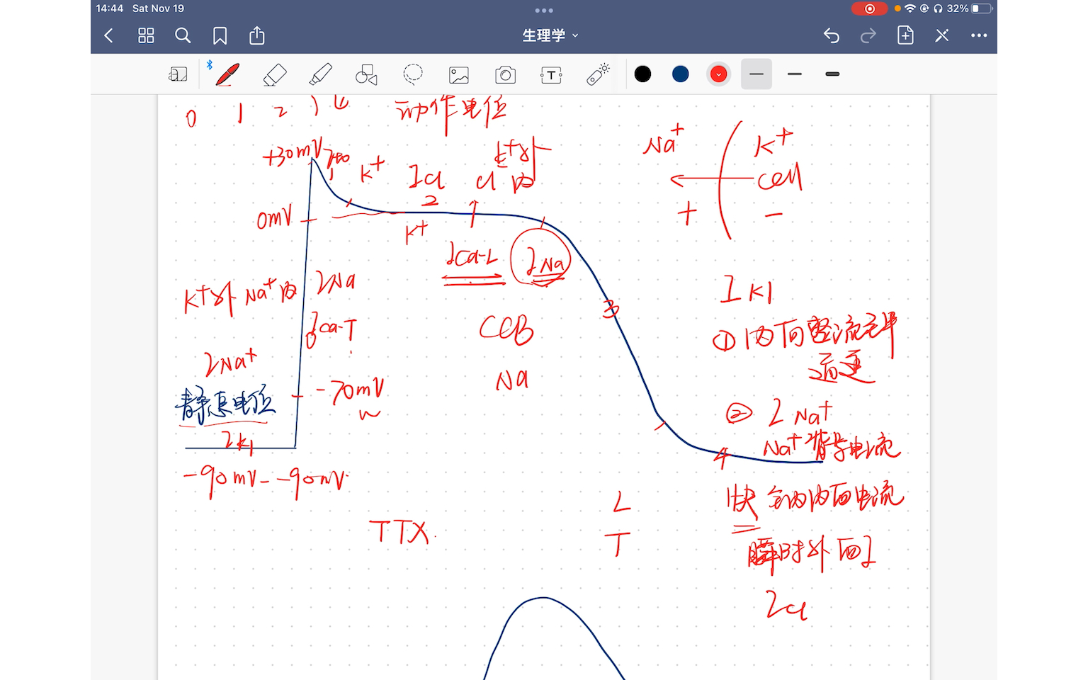 心肌电生理过程 自律细胞 工作细胞 四期去极化过程 离子通道开放类型哔哩哔哩bilibili