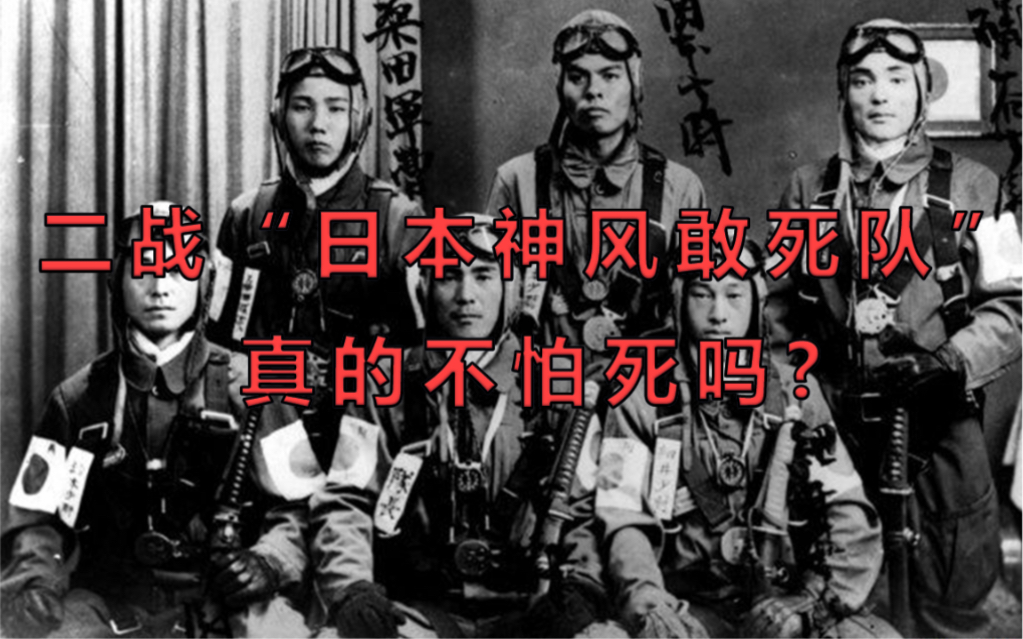 二战“日本神风敢死队”真的不怕死吗?哔哩哔哩bilibili