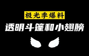 Descargar video: 极光季爆料丨获将上线新的透明斗篷和小翅膀