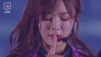 森田光北美字幕组】250417 二期曲「紋白蝶が確か飛んでた」in 櫻