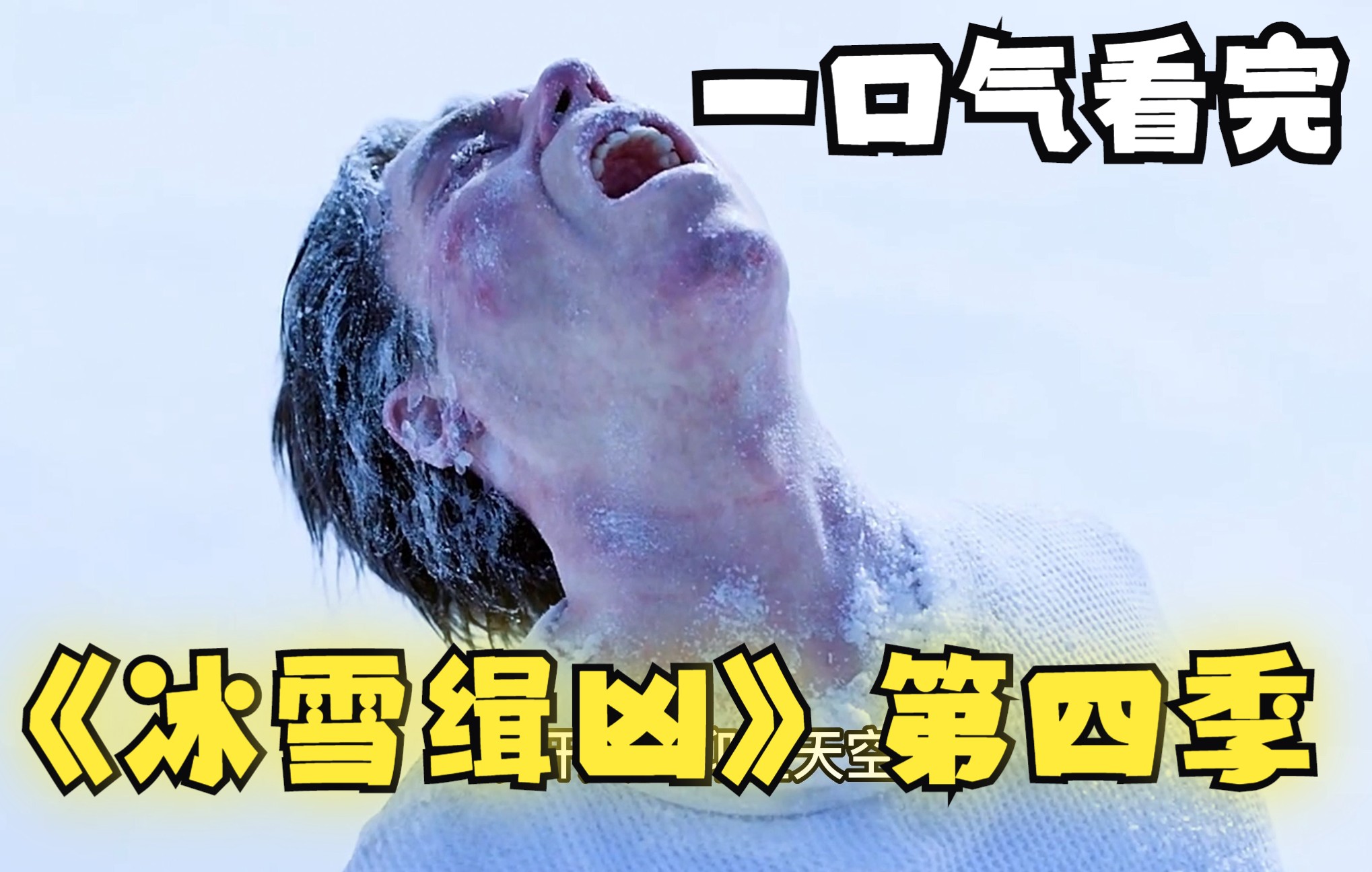 [图]【加拿大高分悬疑剧】一口气看完《冰雪缉凶》第四季