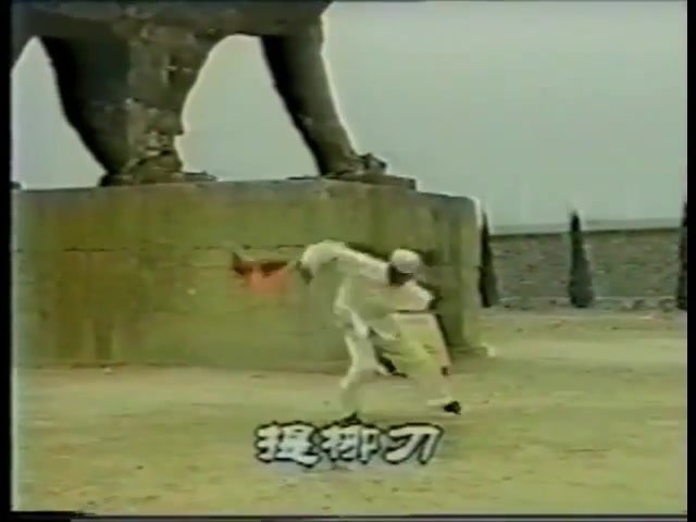 [转载] 八极 提柳散阴刀 1991 video哔哩哔哩bilibili