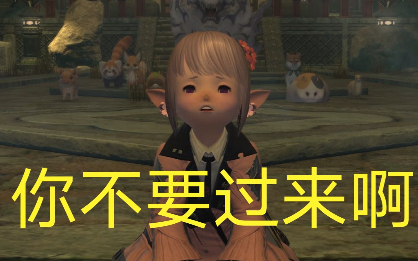 【ff14】塔塔露歼灭(我)战——骑士视角记录