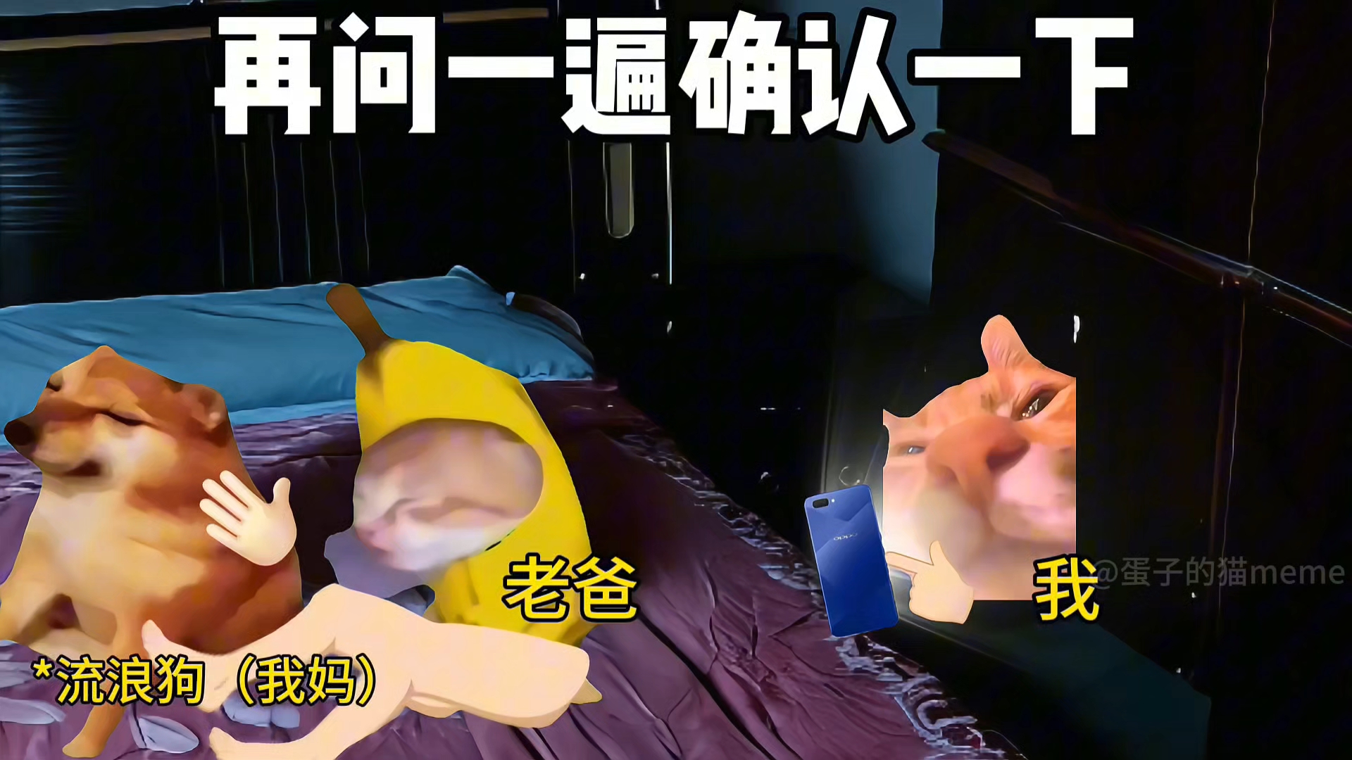 小时候喜欢老师(与流浪狗斗智斗勇82)-蛋子的猫meme-蛋子的猫meme-哔哩哔哩视频
