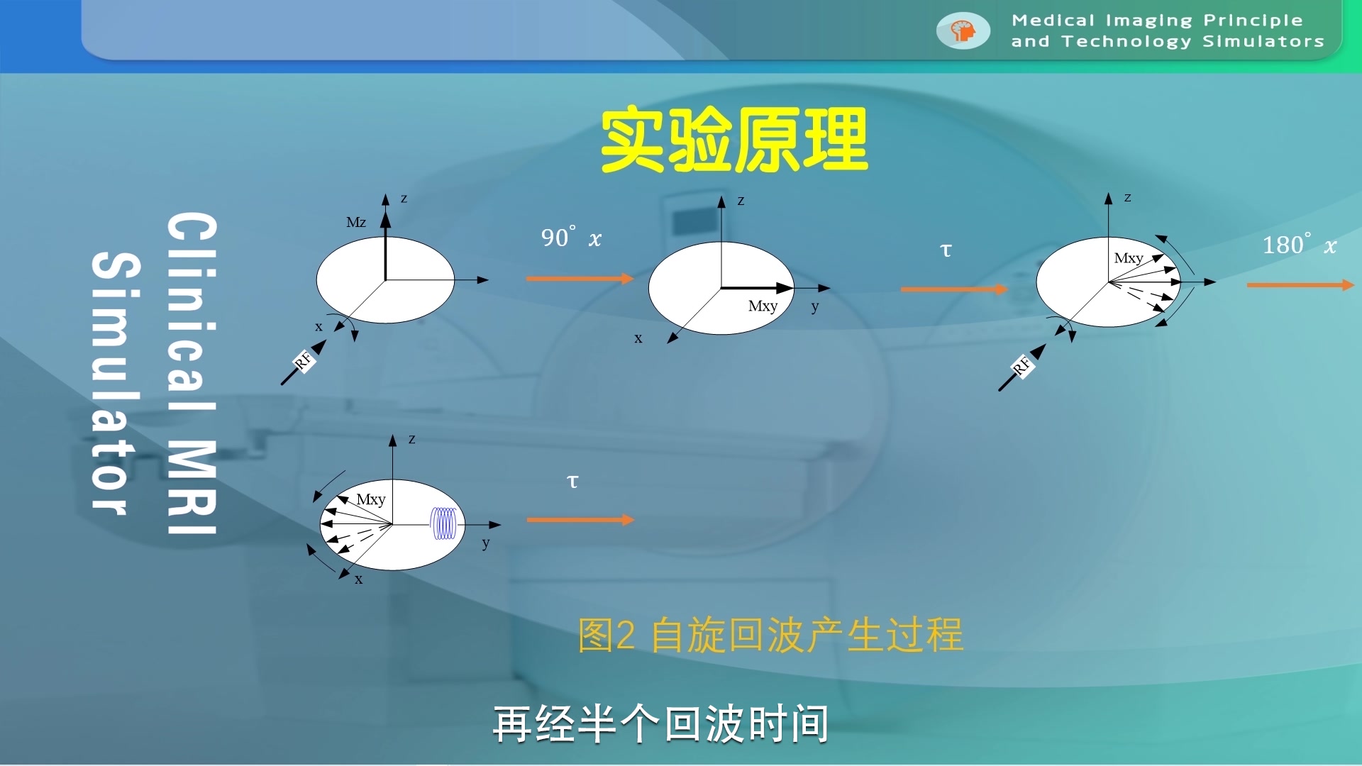 山东第一医科大学磁共振成像原理虚拟仿真实验教学引导视频哔哩哔哩bilibili