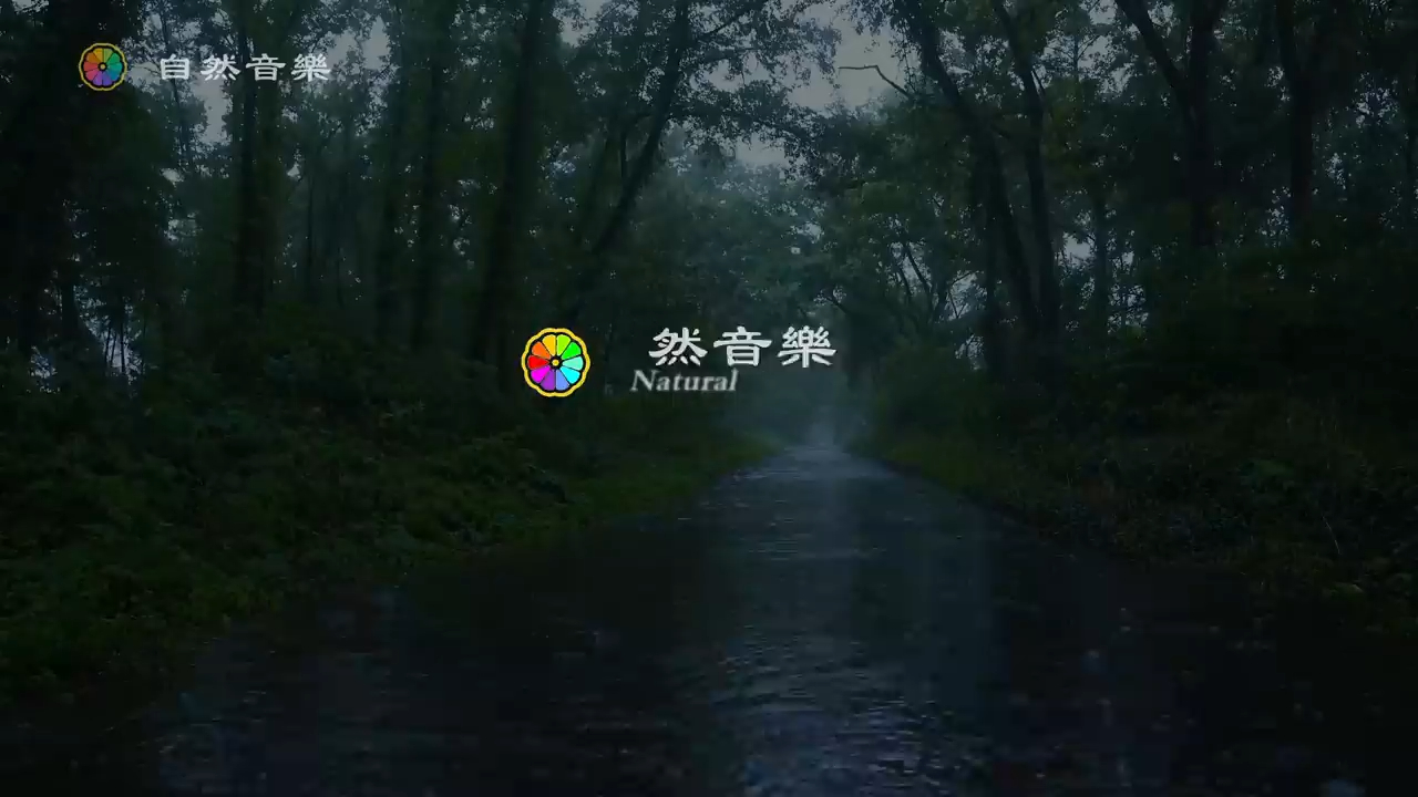 史上最佳雨林雨声催眠曲,目前还没人能躺着听完!