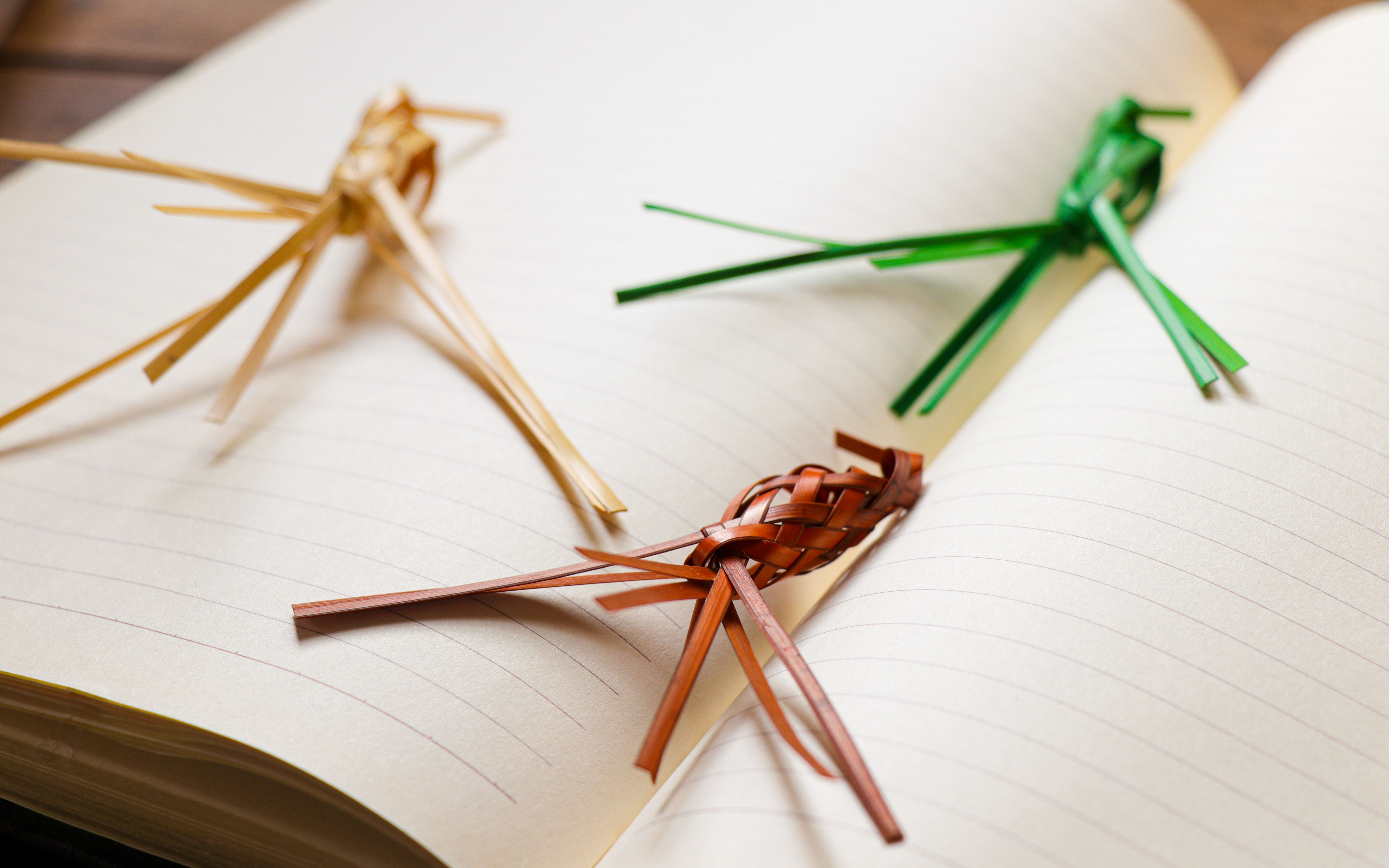 竹编小鸟_哔哩哔哩 (゜-゜)つロ 干杯~-bilibili