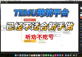 Download Video: TEMU跨境平台，新手已经不适合