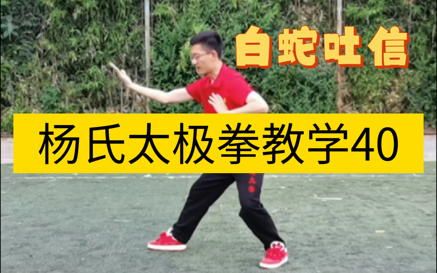 传统杨氏太极拳103式教学40–白蛇吐信哔哩哔哩bilibili