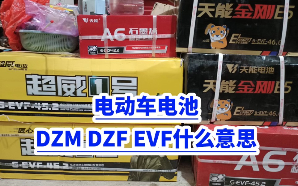 电动车电池DZM DZF EVF什么意思?哔哩哔哩bilibili