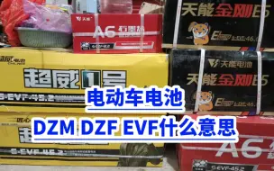 Download Video: 电动车电池DZM DZF EVF什么意思？