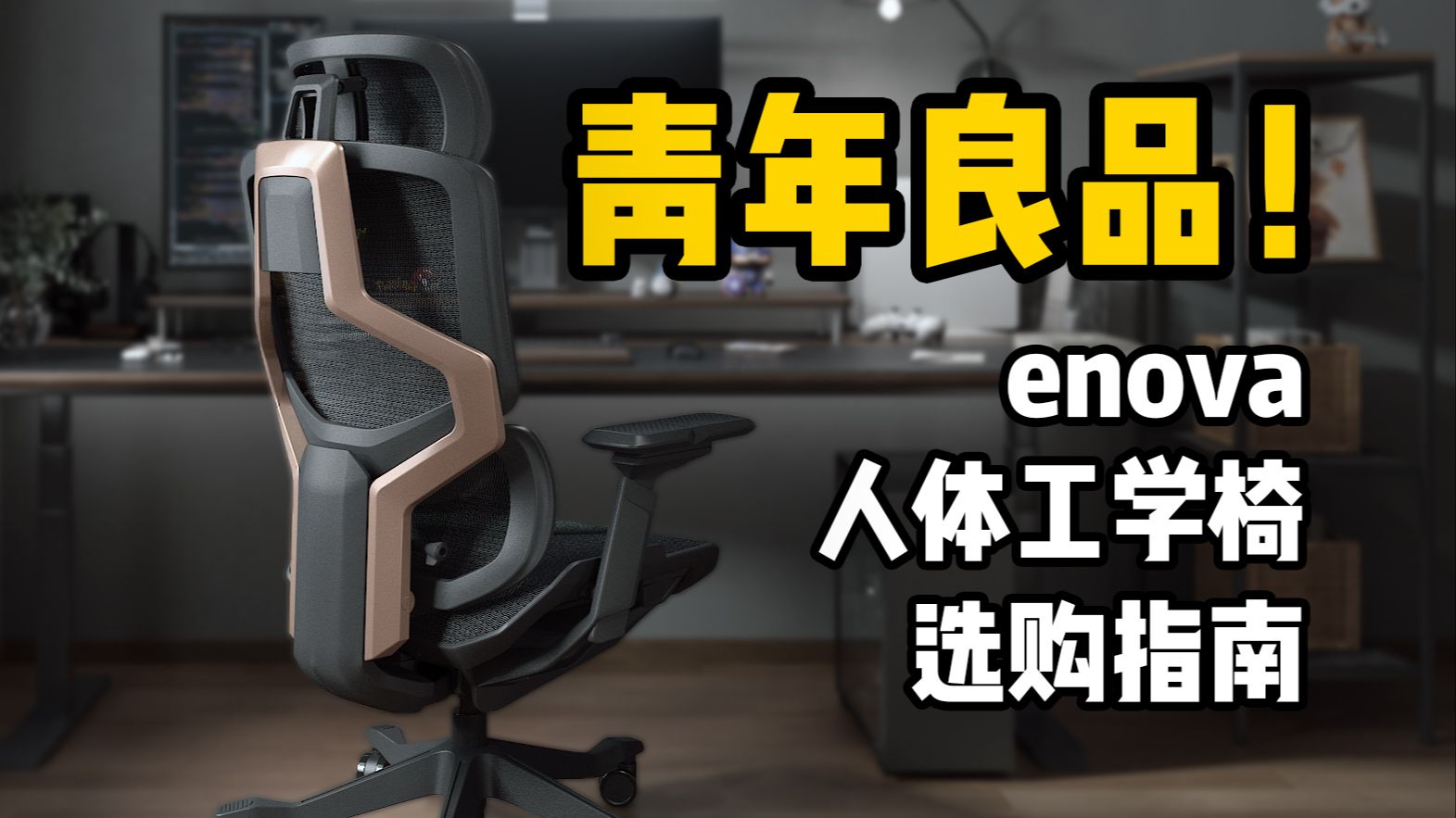 青年良品!enova 人体工学椅选购指南哔哩哔哩bilibili