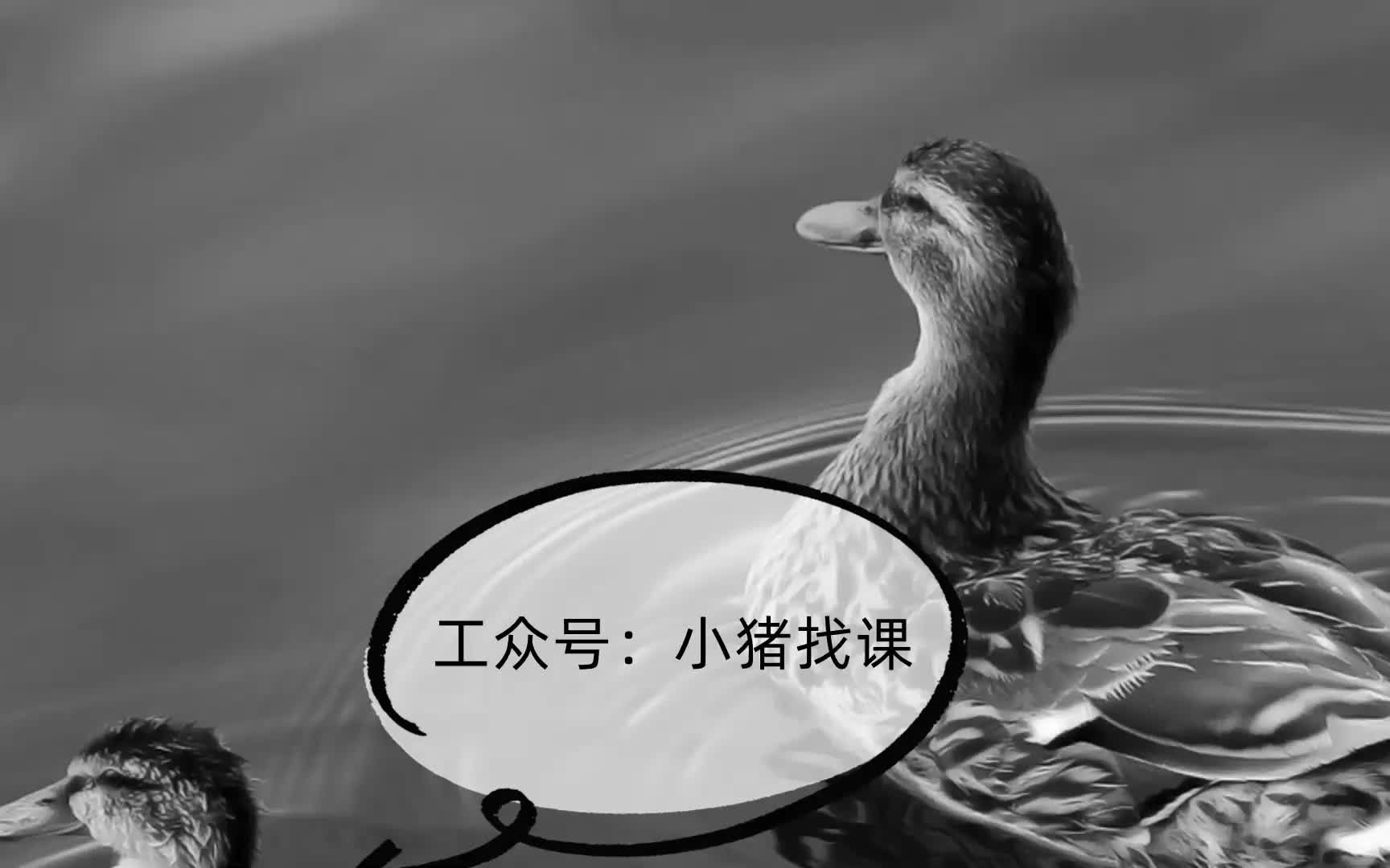 ayawawa20-22年知识星球 ,2