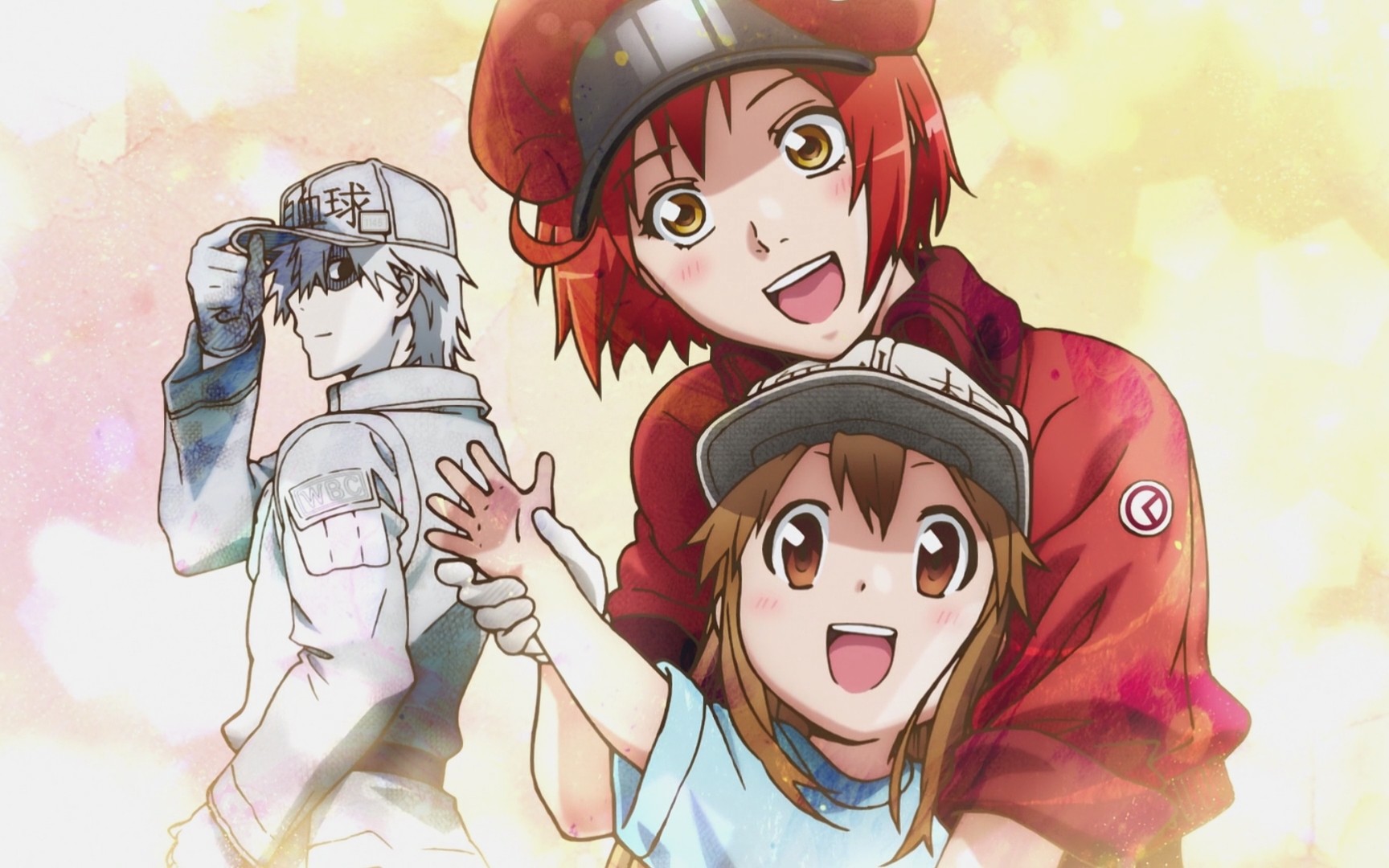 工作细胞特别篇今天以上线各位小伙伴去观看吧