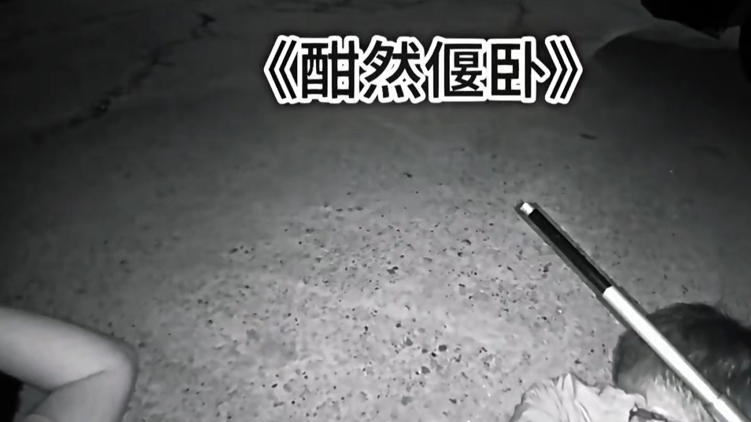 交警扣的车都敢抢，你们三个胆子真是肥嘟嘟的