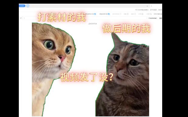 素材去哪了?哔哩哔哩bilibili