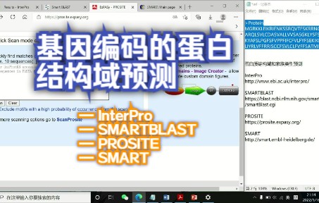 基因所编码的蛋白质结构域的预测 InterPro/SMARTBLAST/PROSITE/SMART哔哩哔哩bilibili