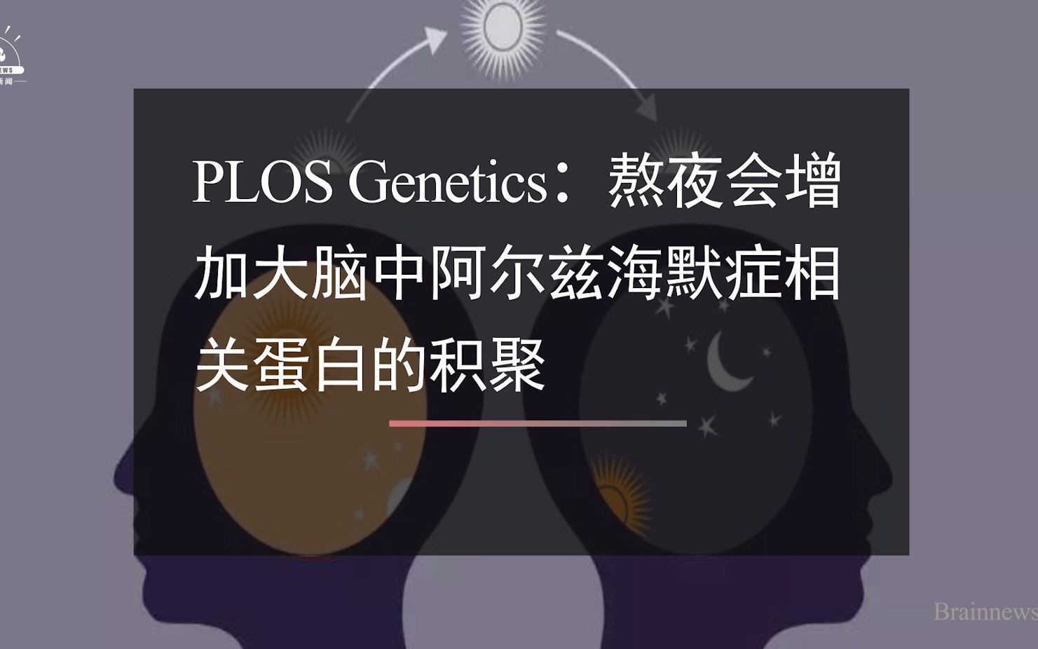 #Brainnews 【前沿快讯】 PLOS Genetics:熬夜会增加大脑中阿尔兹海默症相关蛋白的积聚哔哩哔哩bilibili