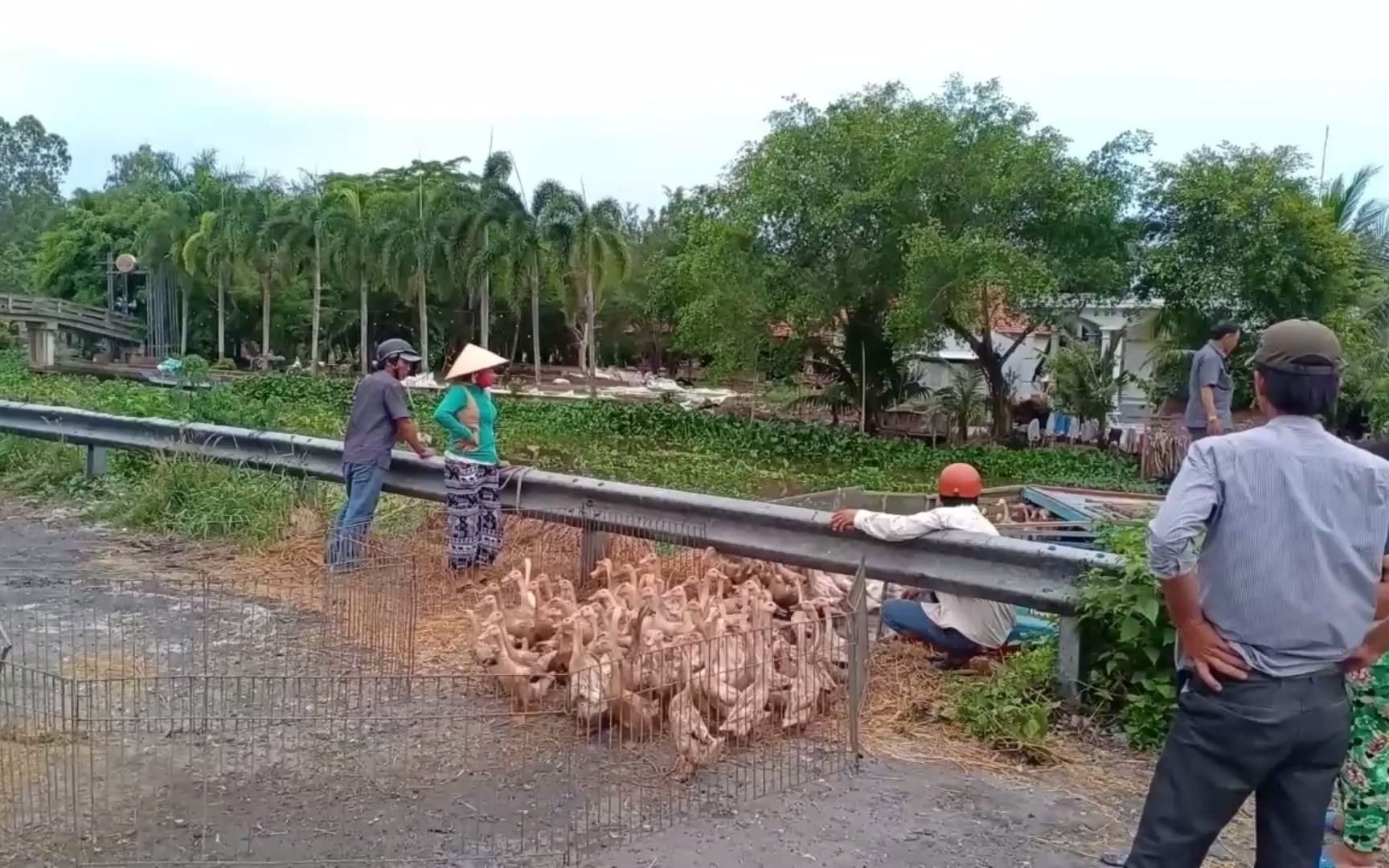 [图]鸭子这次是进京赶烤了