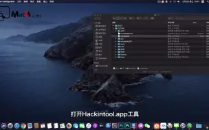 Download Video: Hackintool for Mac(黑苹果必备驱动工具)