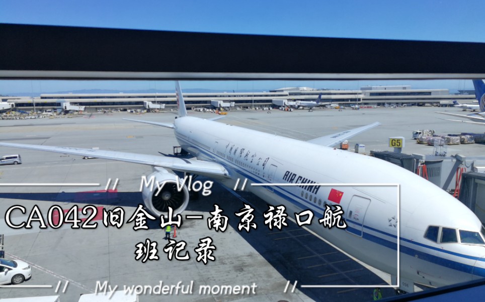 一次特殊的国航包机回国记录感恩祖国