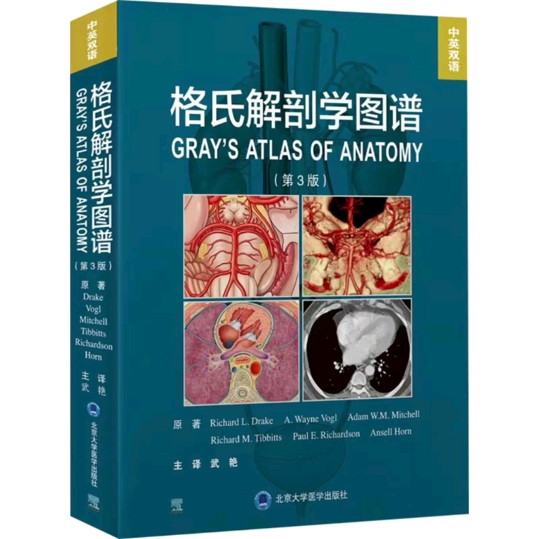 [图]格氏解剖学图谱 第3版 中英双语_武艳主译2022年（彩图），pdf