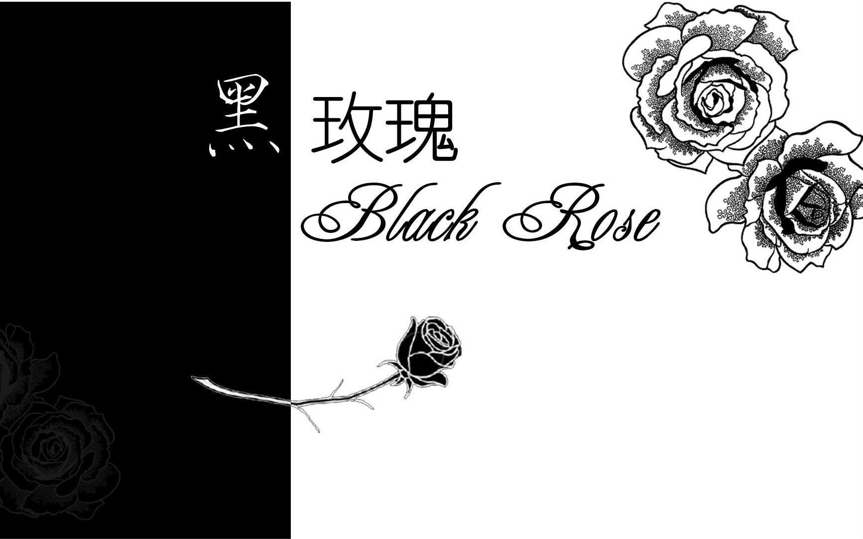 黑玫瑰图片电脑壁纸图片
