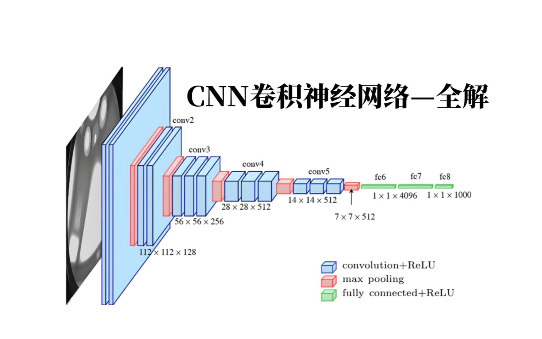 【学神级教程】浙大大佬教你怎么卷CNN,这绝对是全网最通俗易懂的卷积神经网络——全解哔哩哔哩bilibili