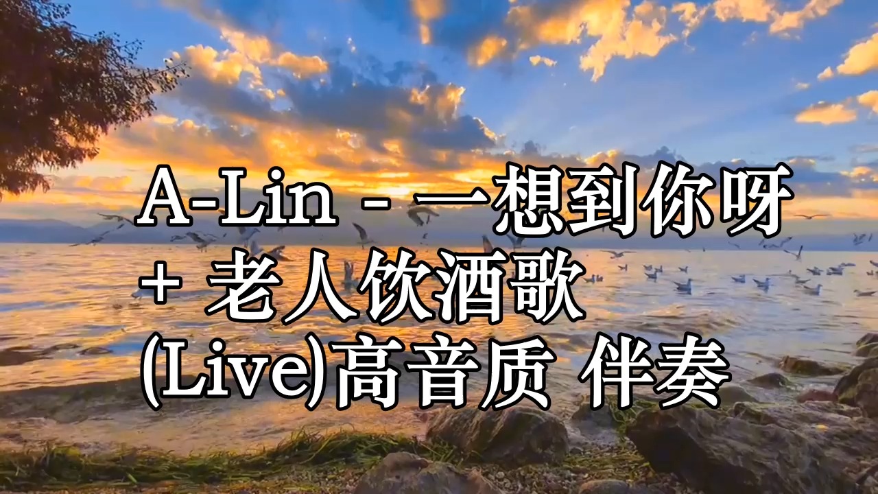 老年人歌曲(老年人歌曲经典)
