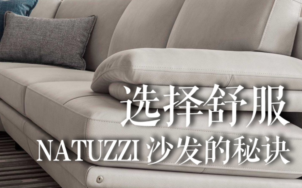 选择舒服 NATUZZI沙发的秘诀哔哩哔哩bilibili