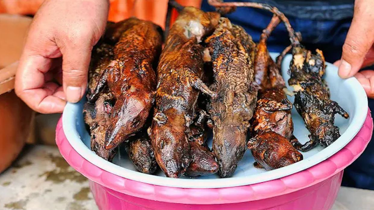 老鼠在竹子上烧烤街头食物