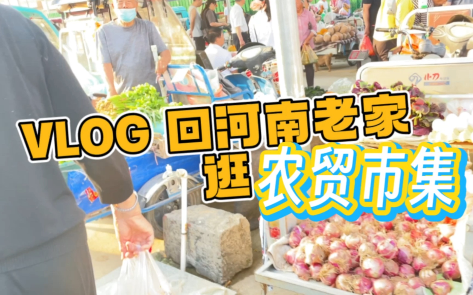 回老家vlog:河南周口的农贸市集有多便宜哔哩哔哩bilibili