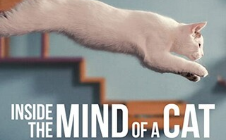 [图]【纪录片】喵星人的奇思妙想 Inside the Mind of a Cat (2022)