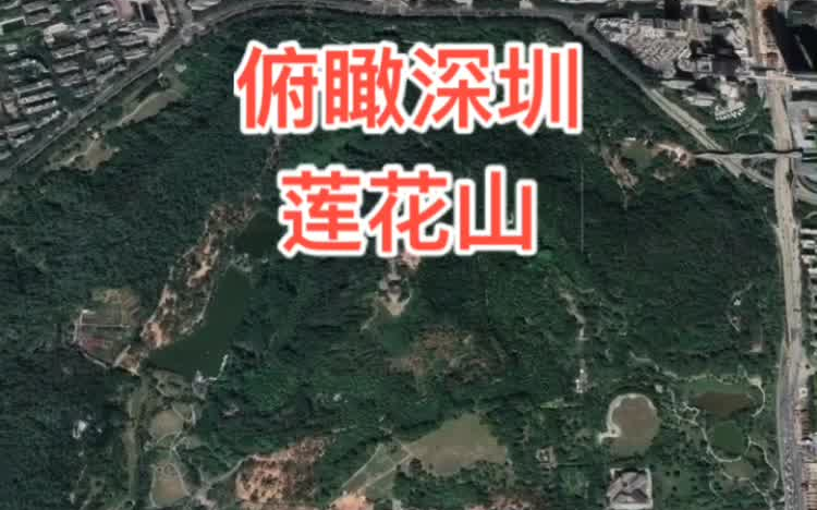 卫星俯瞰深圳莲花山,市中心最高地,风水极佳哔哩哔哩bilibili