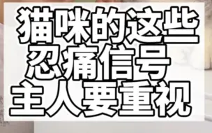 下载视频: 猫咪的这些忍痛信号，主人要重视起来