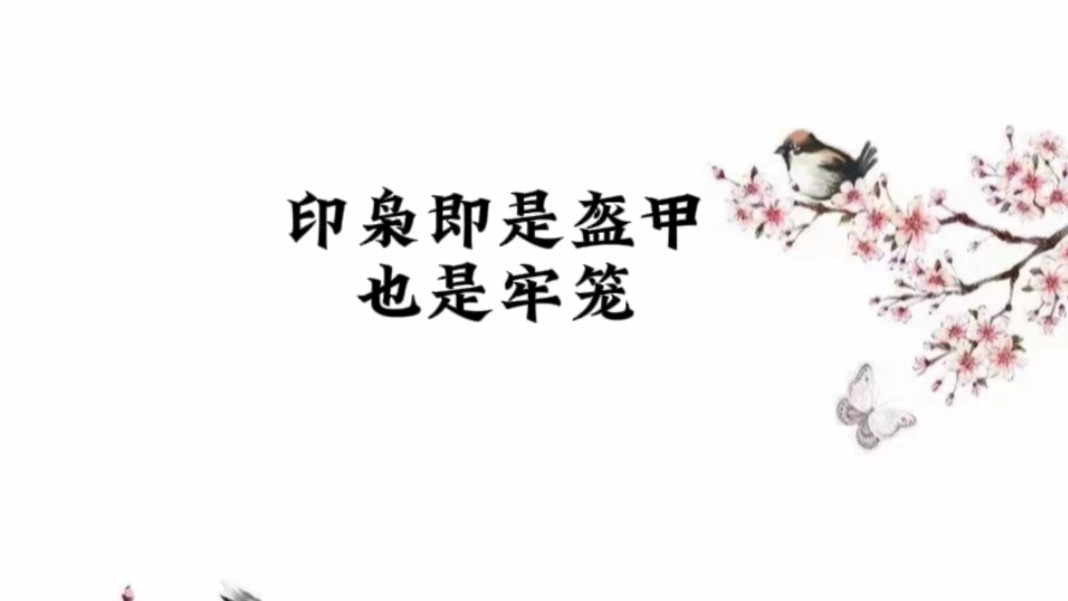 枭印哔哩哔哩bilibili