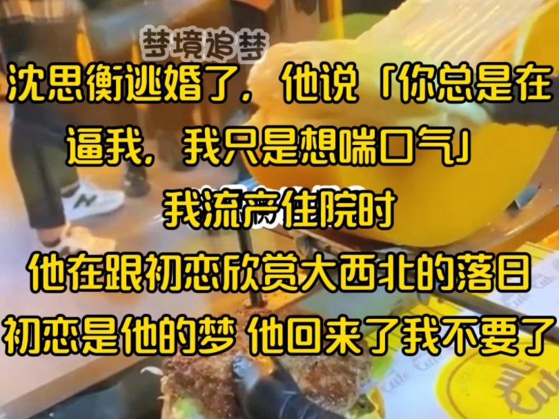 沈思衡逃婚了,他说「你总是在逼我,我只是想喘口气」我流产住院时,他在跟初恋欣赏大西北的落日,初恋是他的梦 他回来了我不要了哔哩哔哩bilibili