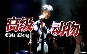 Download Video: 【王晰Elvis Wang】《高级动物》戏感拉满 摇滚Again