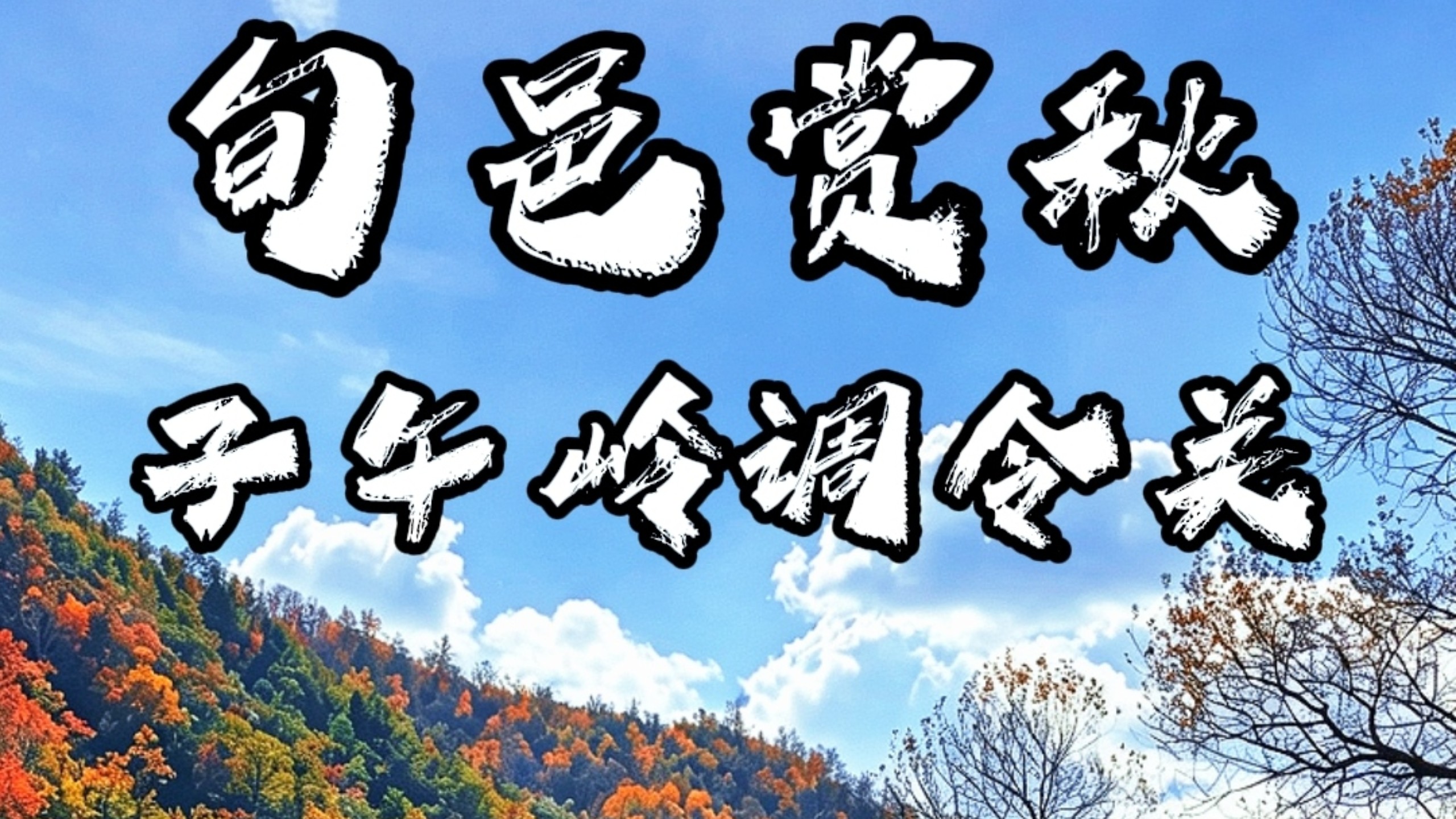 陕西赏秋好去处，旬邑子午岭，满山彩林配千年古道，堪称大兴安岭