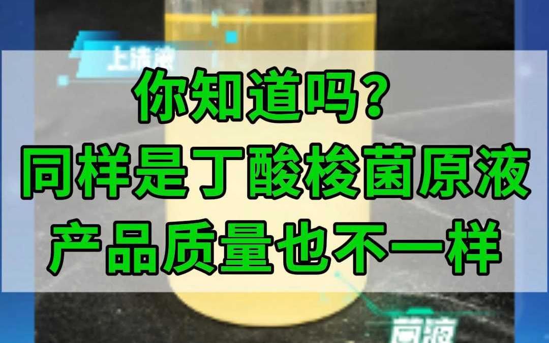 丁酸梭菌原液质量千差万别,自主扩培才能保证最高活性和纯度哔哩哔哩bilibili