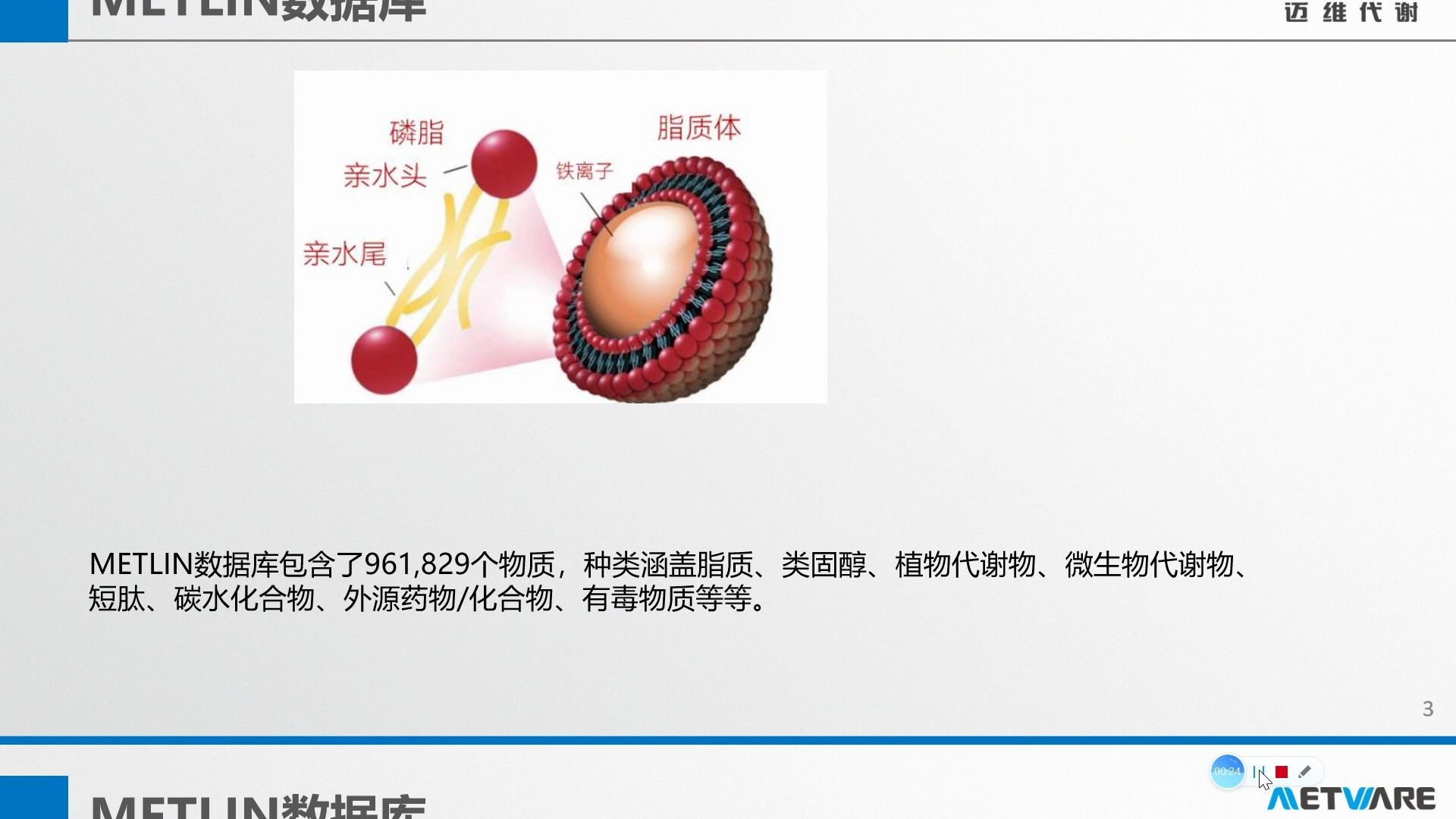 一分钟了解METLIN数据库哔哩哔哩bilibili