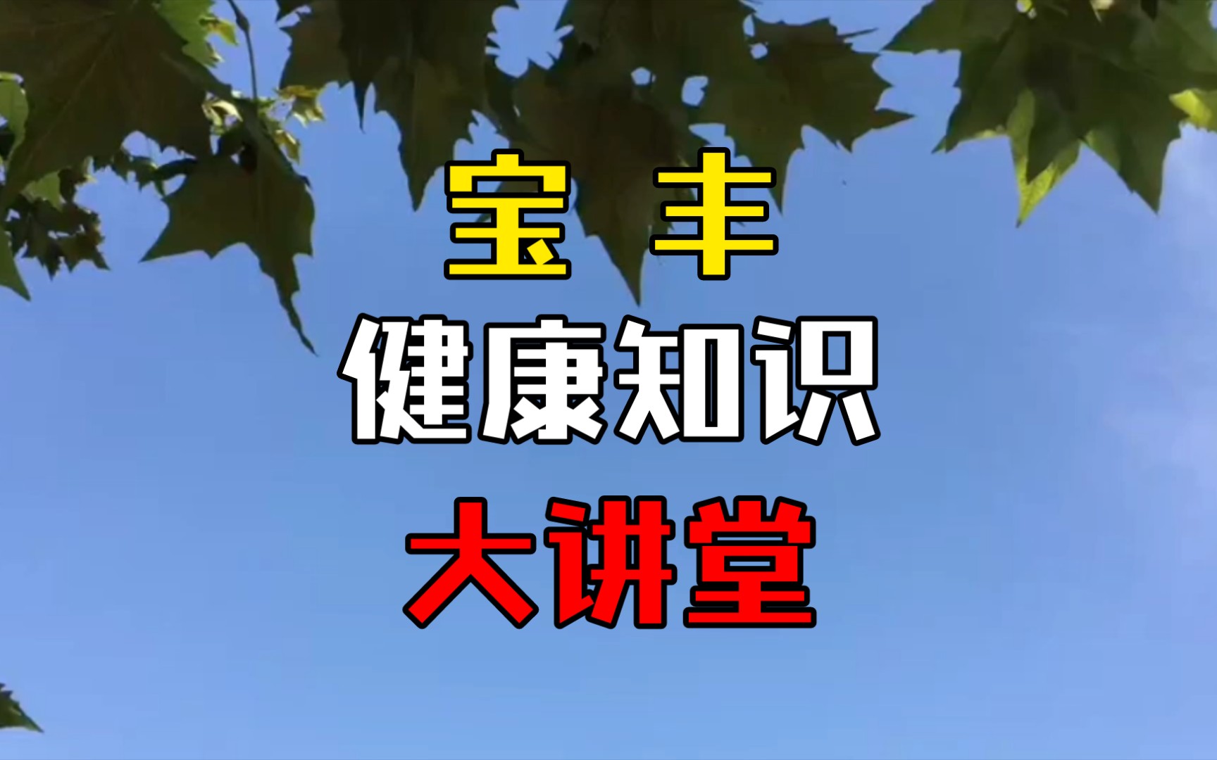 宝丰健康知识大讲堂 主讲人:中国保健协会副理事长 贾亚光哔哩哔哩bilibili