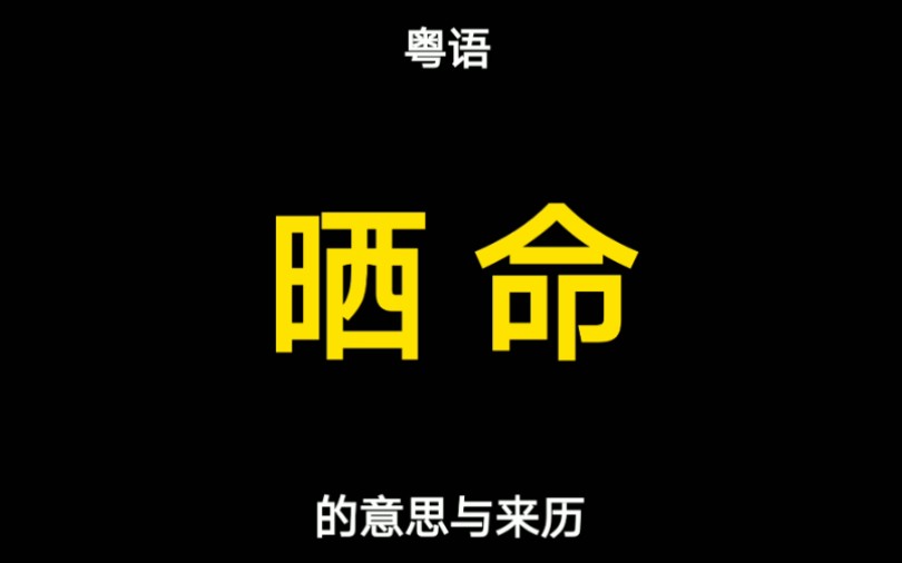 粤语俚语“晒命”的意思与来历,你知道吗?哔哩哔哩bilibili