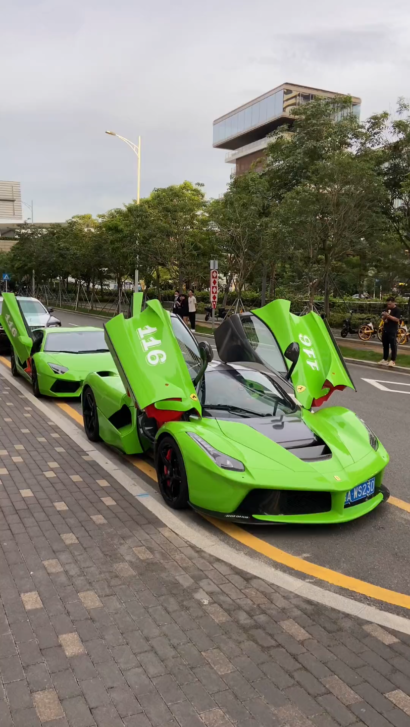 集梦会长的拉法刚贴完膜就拖到深圳 陪公司主播提f8_哔哩哔哩_bili