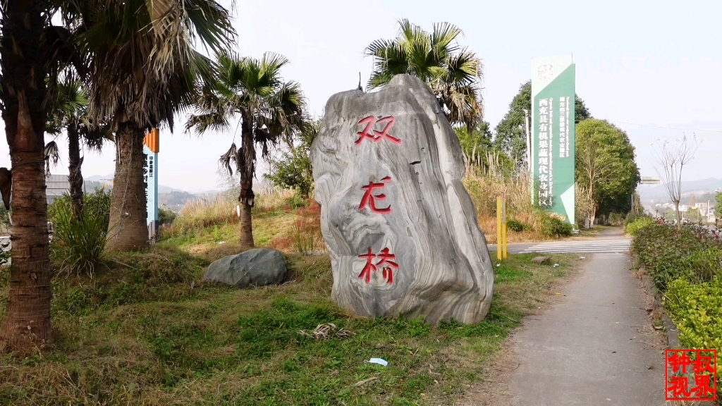 深度西充(43)走进西充新农村的标杆——双龙桥村_哔哩哔哩_bilibili